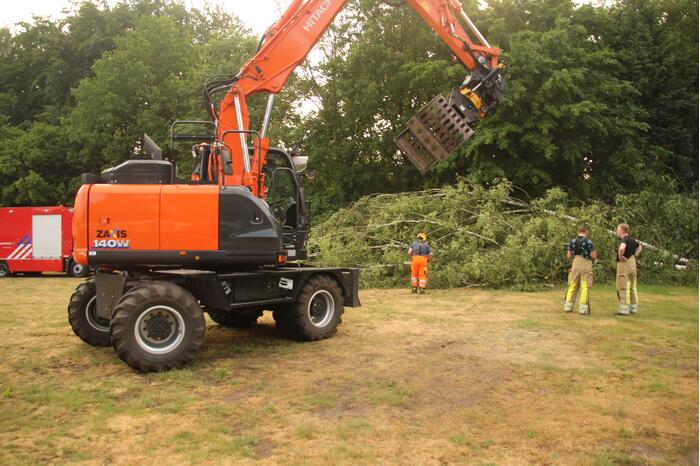 Brandweer verwijdert gevaarlijk staande boom