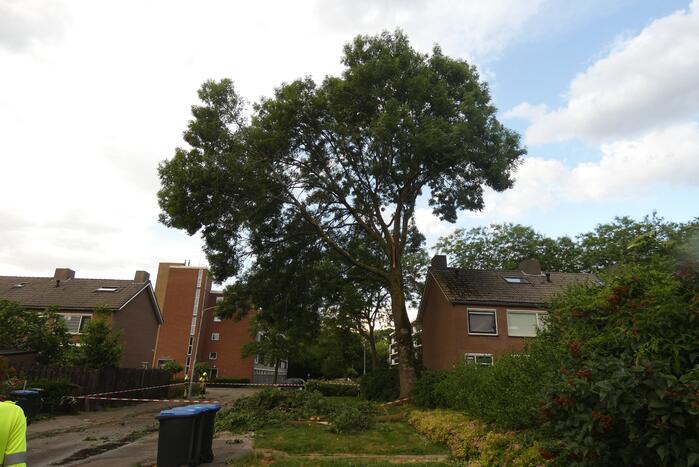 Brandweer handen vol aan stormschade