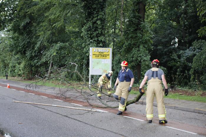 Takken afgebroken van boom door windvlaag