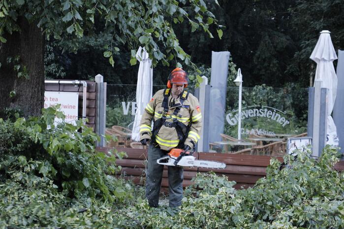 Takken afgebroken van boom door windvlaag