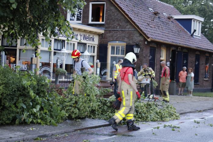 Takken afgebroken van boom door windvlaag