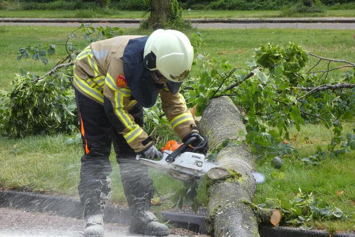 Brandweer zaagt omgevallen boom in stukken