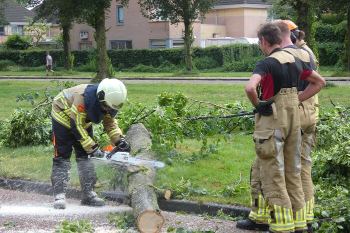 Brandweer zaagt omgevallen boom in stukken