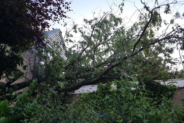 Boom valt op drie woningen door windvlaag