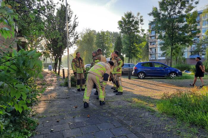 Boom valt op drie woningen door windvlaag