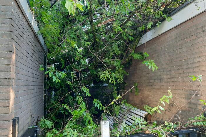 Boom valt op drie woningen door windvlaag