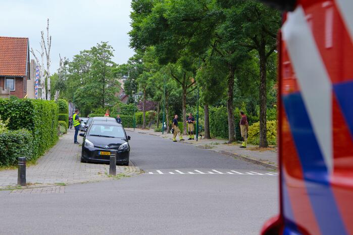 Brandweer verwijdert loshangende tak van boom