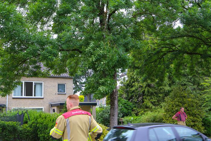 Brandweer verwijdert loshangende tak van boom