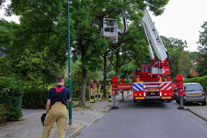Brandweer verwijdert loshangende tak van boom