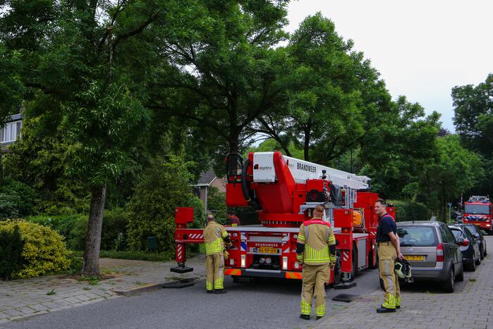 Brandweer verwijdert loshangende tak van boom