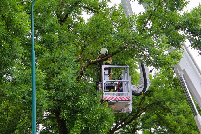Brandweer verwijdert loshangende tak van boom