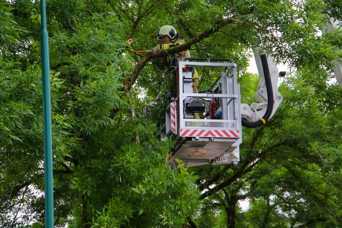 Brandweer verwijdert loshangende tak van boom