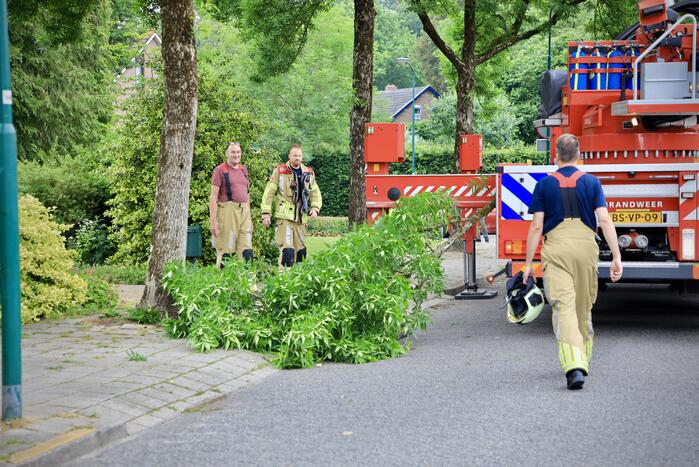 Brandweer verwijdert loshangende tak van boom