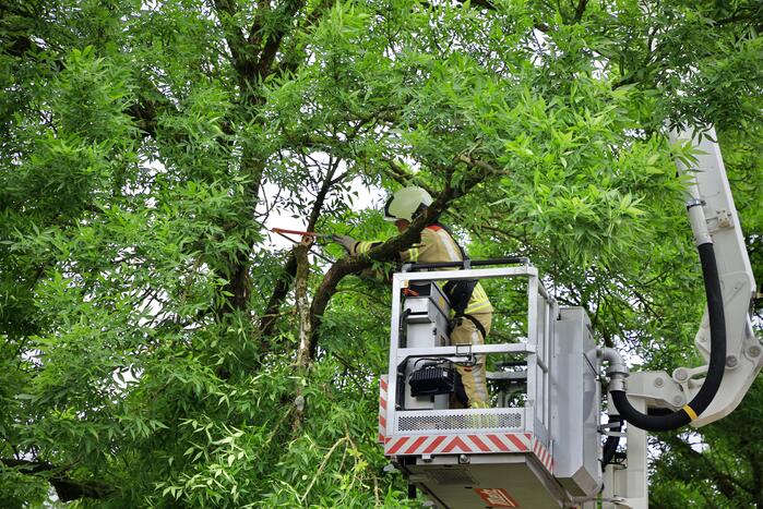 Brandweer verwijdert loshangende tak van boom