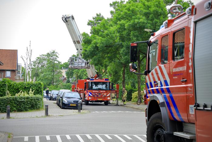 Brandweer verwijdert loshangende tak van boom