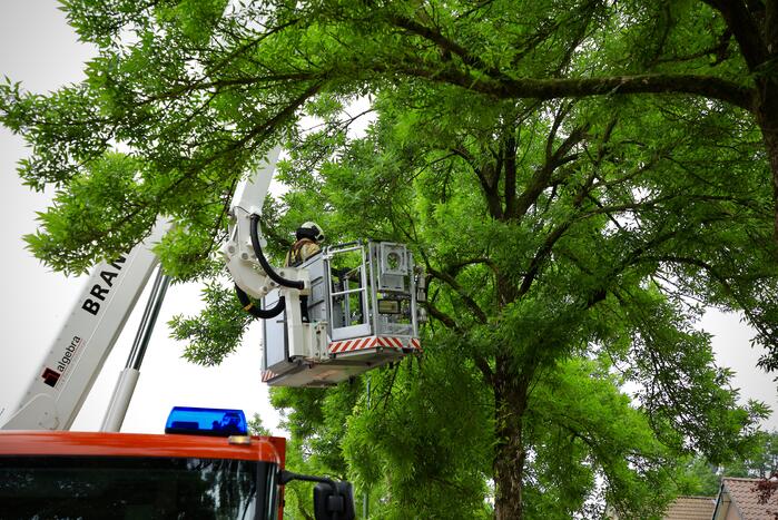 Brandweer verwijdert loshangende tak van boom