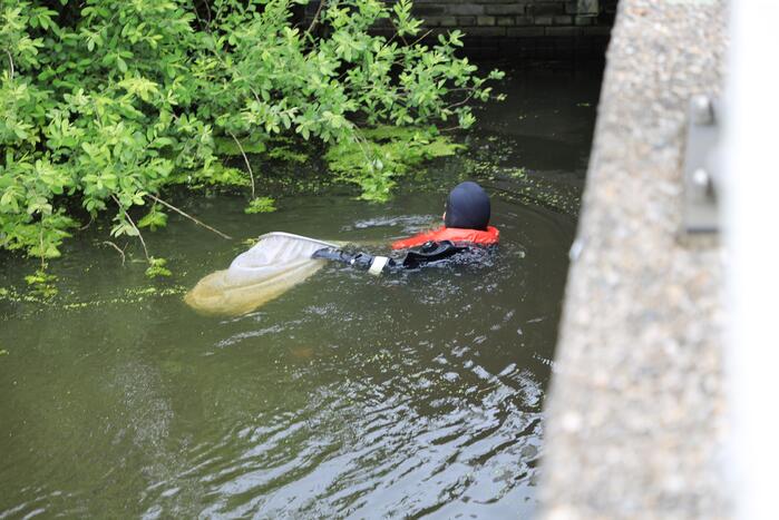 Brandweer haalt zwaantjes uit kanaal