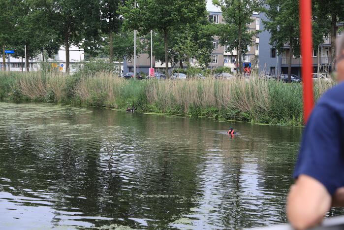 Brandweer haalt zwaantjes uit kanaal