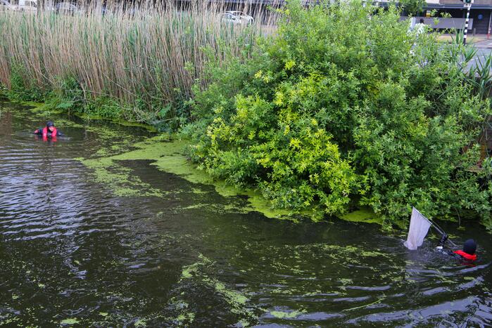 Brandweer haalt zwaantjes uit kanaal