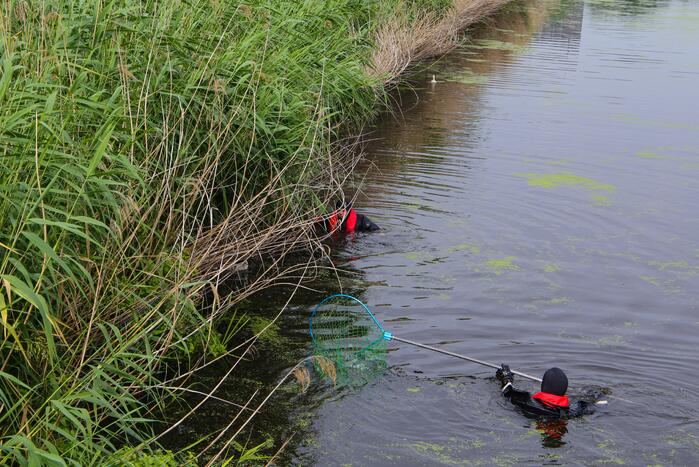 Brandweer haalt zwaantjes uit kanaal