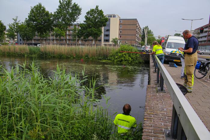 Brandweer haalt zwaantjes uit kanaal