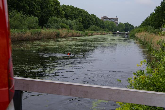 Brandweer haalt zwaantjes uit kanaal
