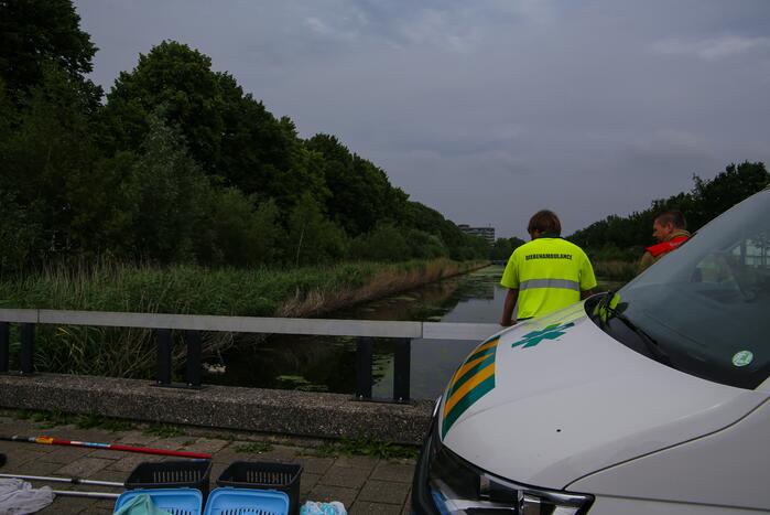 Brandweer haalt zwaantjes uit kanaal