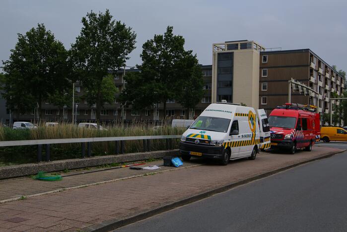 Brandweer haalt zwaantjes uit kanaal