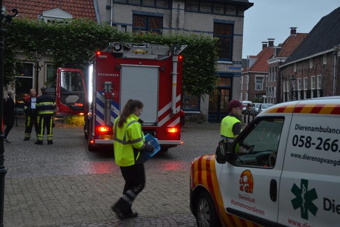 Katten gered bij woningbrand