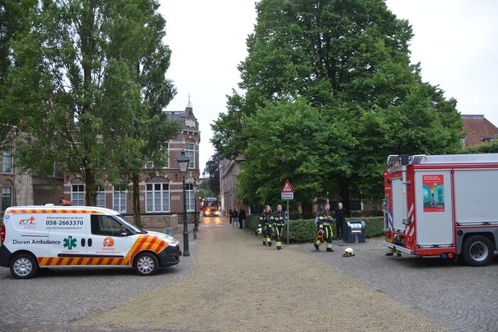 Katten gered bij woningbrand