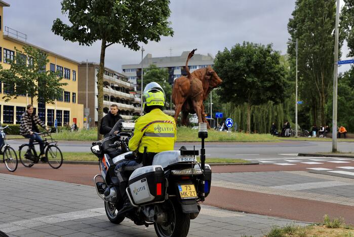 Oranjefans vieren opnieuw feest na derde EK zege