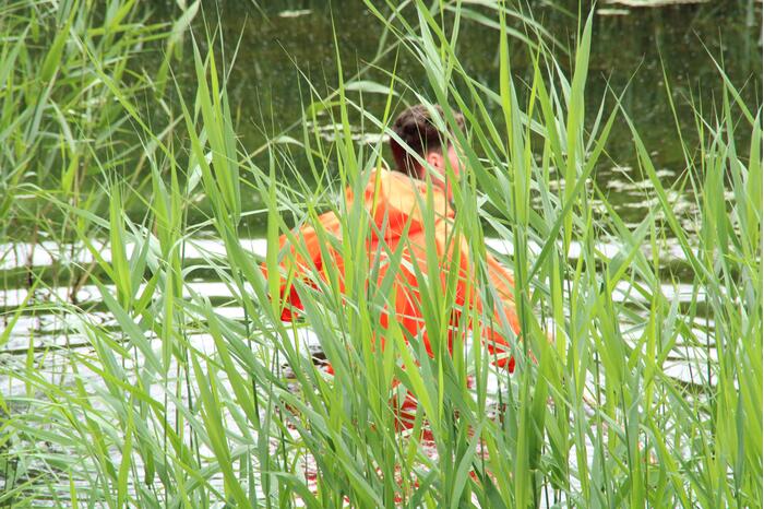 Reddingsactie brandweer voor baby-eendjes