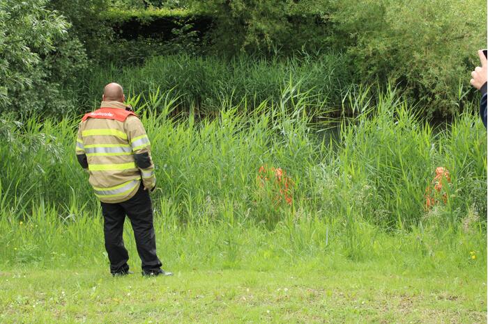 Reddingsactie brandweer voor baby-eendjes