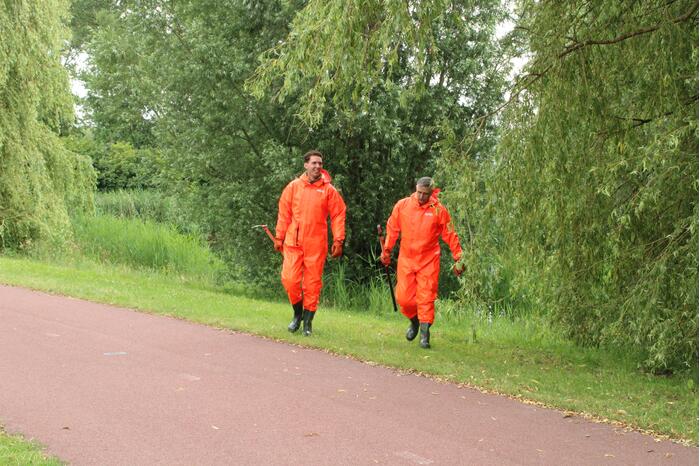 Reddingsactie brandweer voor baby-eendjes