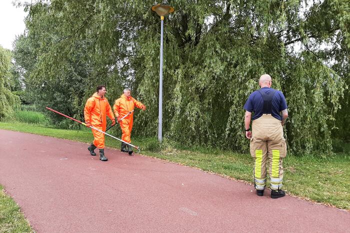 Reddingsactie brandweer voor baby-eendjes