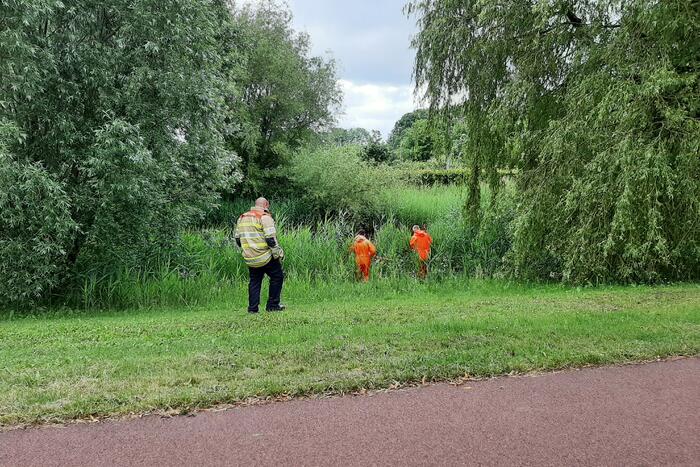 Reddingsactie brandweer voor baby-eendjes