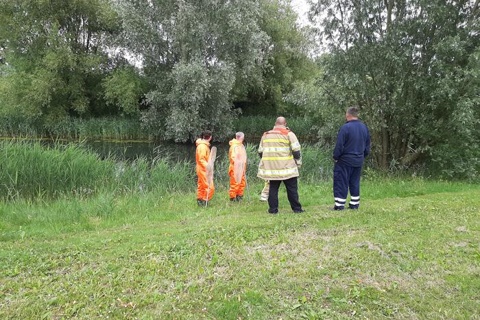 Reddingsactie brandweer voor baby-eendjes