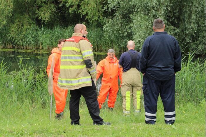 Reddingsactie brandweer voor baby-eendjes