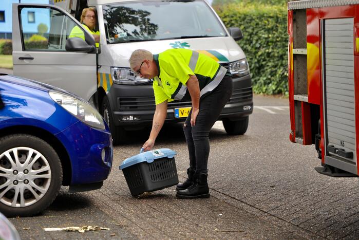 Veel rook bij brand in woning