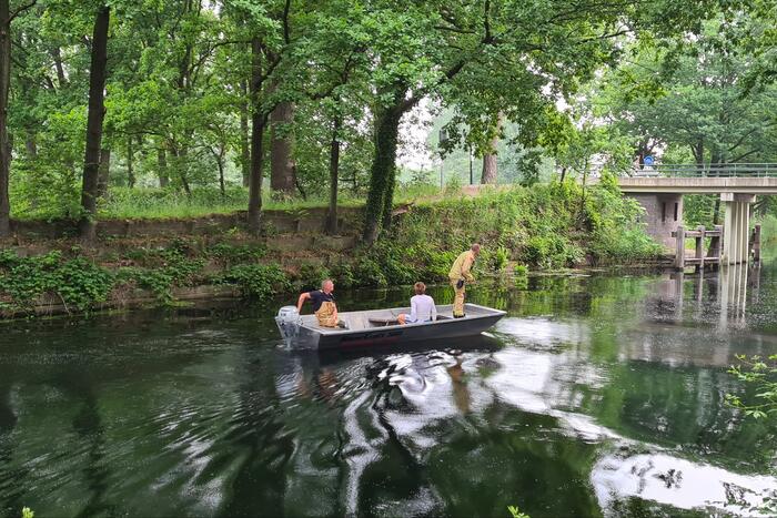 Brandweer bevrijdt vastzittende uil uit benarde positie
