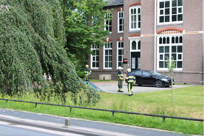 Grote tak treurwilg afgebroken