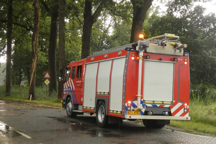 Bliksem ingeslagen in boom