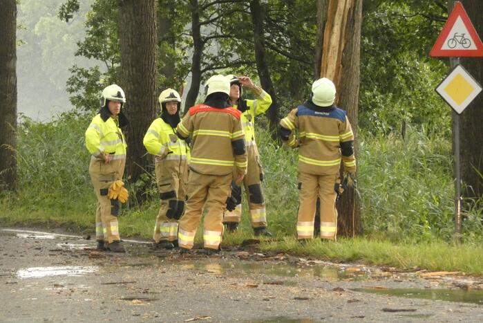 Bliksem ingeslagen in boom