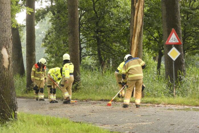 Bliksem ingeslagen in boom