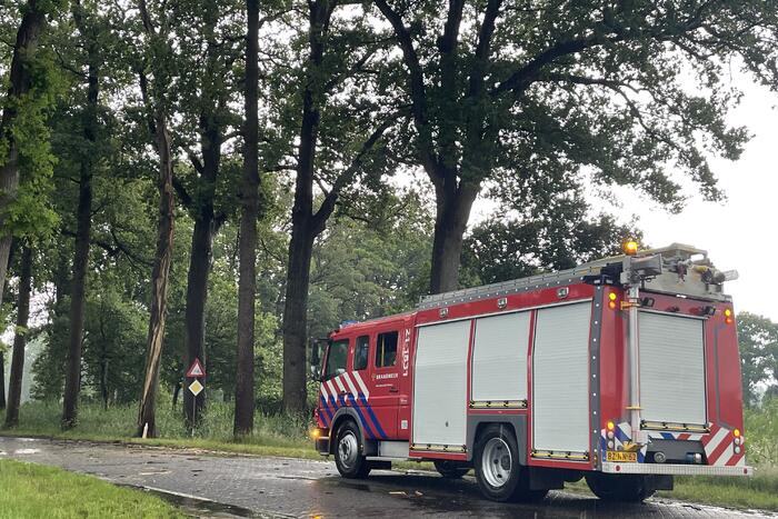 Bliksem ingeslagen in boom