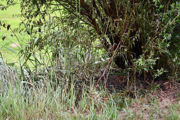 Omwonende ontdekt brand in bosjes