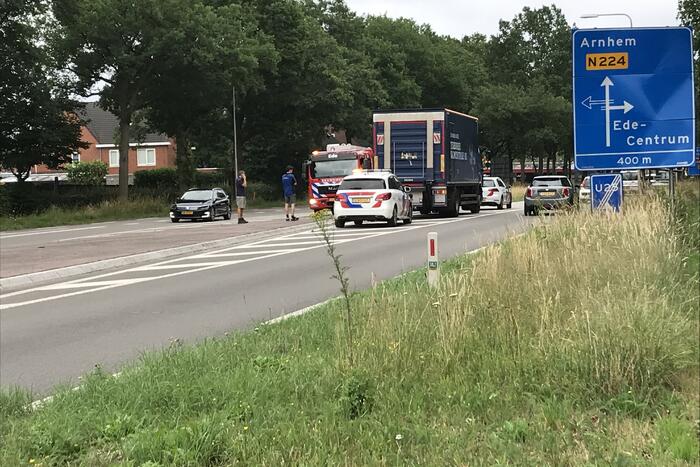 Hond overleden na aanrijding met vrachtwagen