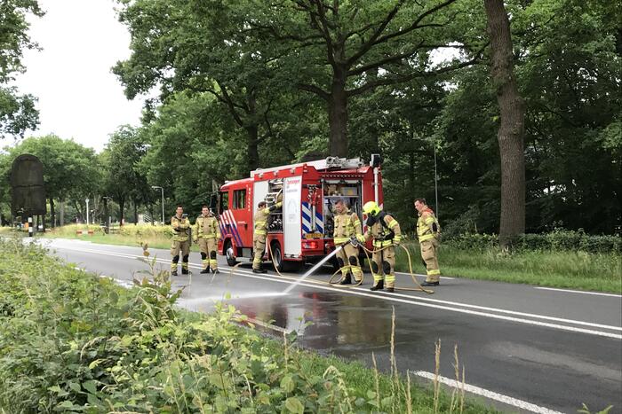 Hond overleden na aanrijding met vrachtwagen