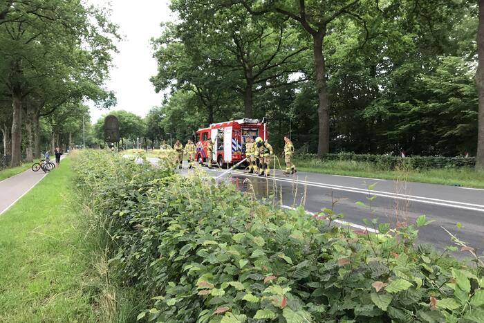 Hond overleden na aanrijding met vrachtwagen