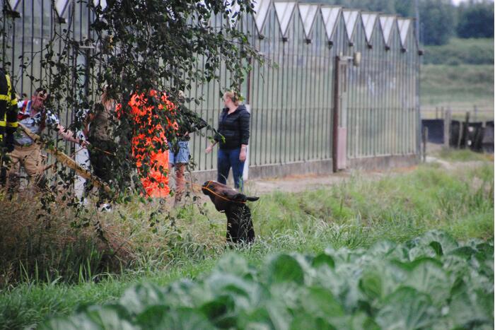 Brandweer haalt paard uit de sloot